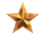 Star for Accomplishment